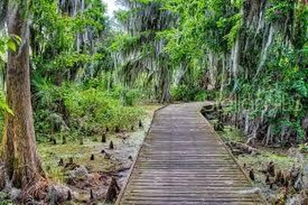 5189 Greenheart Avenue Mount Dora FL 32757