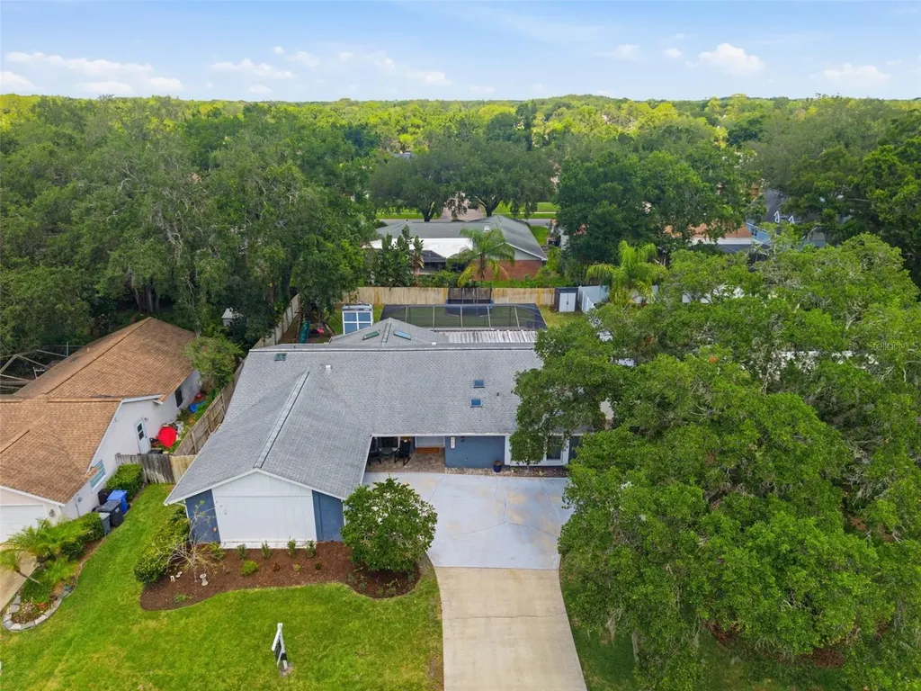 4221 Water Oaks Lane Tampa FL 33618