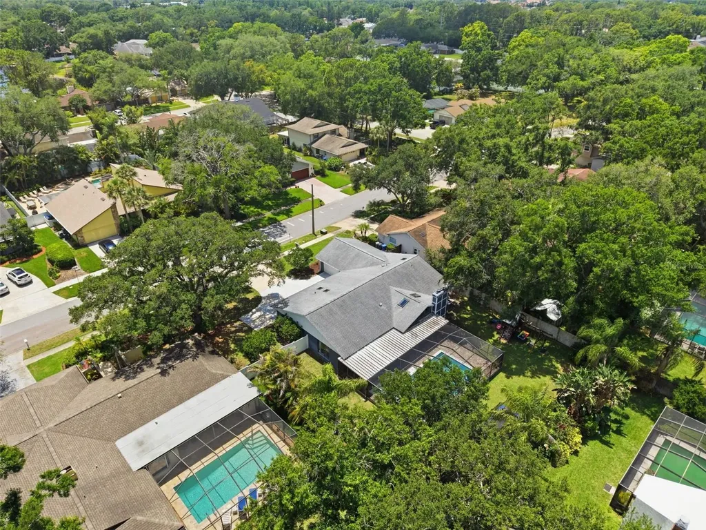 4221 Water Oaks Lane Tampa FL 33618