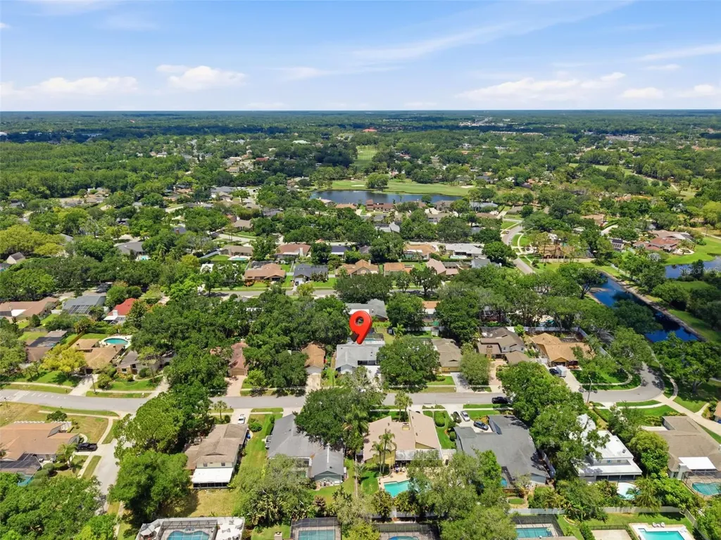 4221 Water Oaks Lane Tampa FL 33618