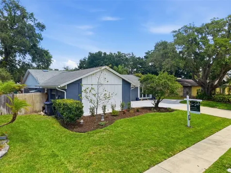 4221 Water Oaks Lane Tampa FL 33618