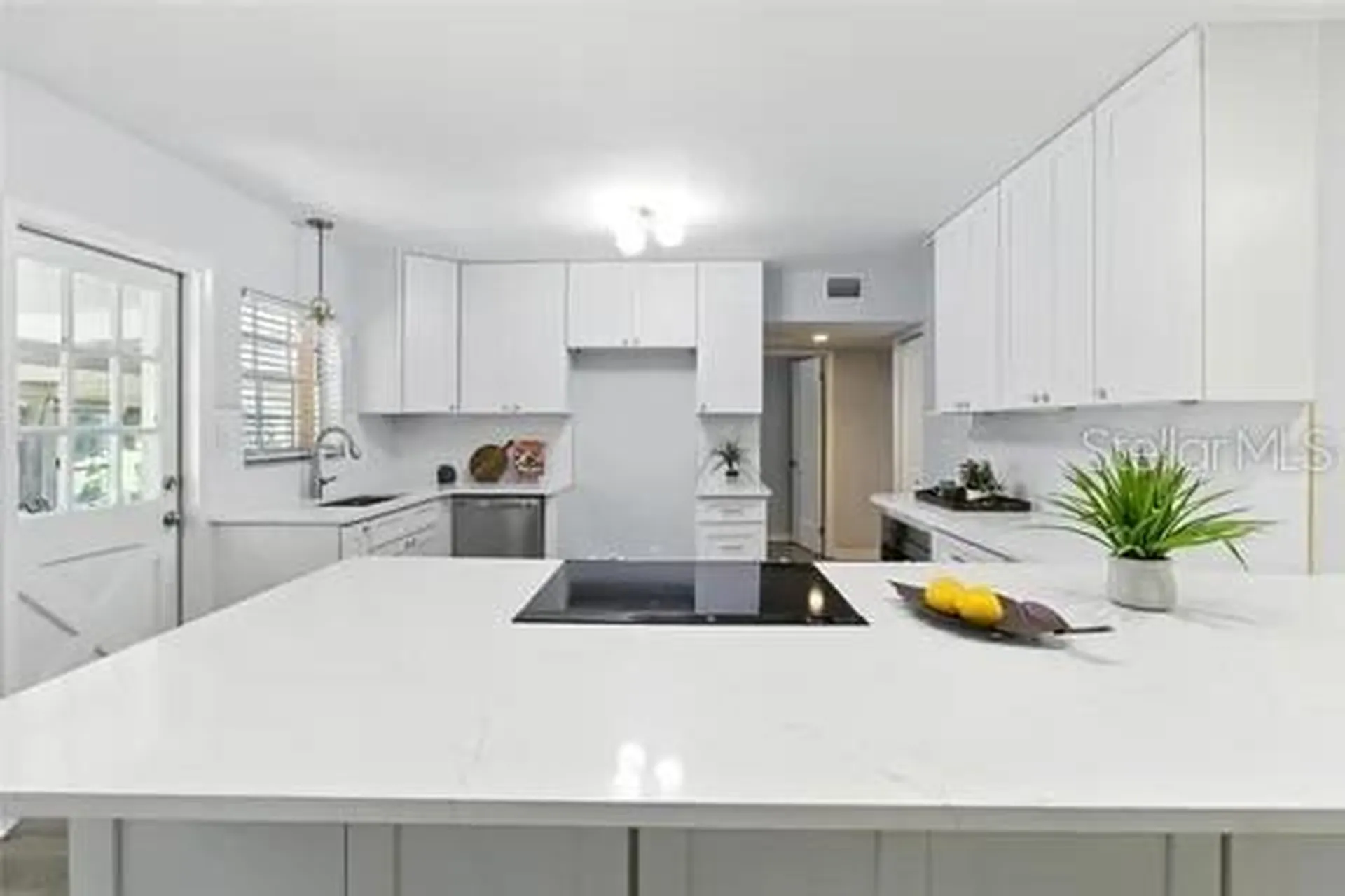 2510 Lake Ellen Drive Tampa FL 33618