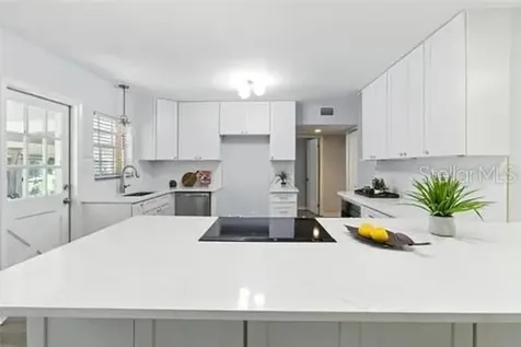 2510 Lake Ellen Drive Tampa FL 33618