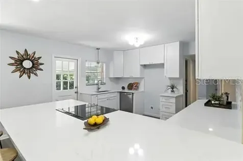 2510 Lake Ellen Drive Tampa FL 33618