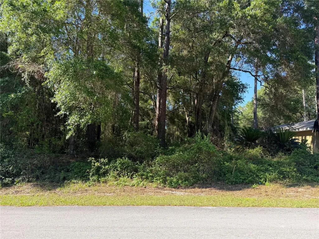 10927 N Airway Loop Citrus Springs FL 34434