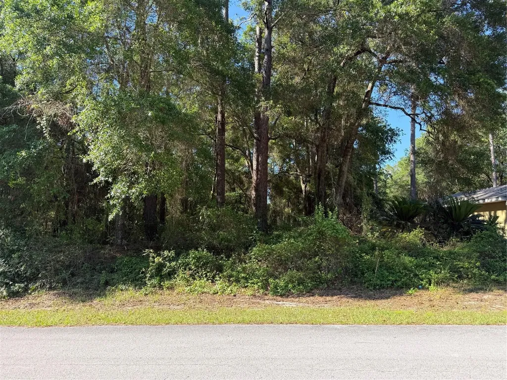 10927 N Airway Loop Citrus Springs FL 34434