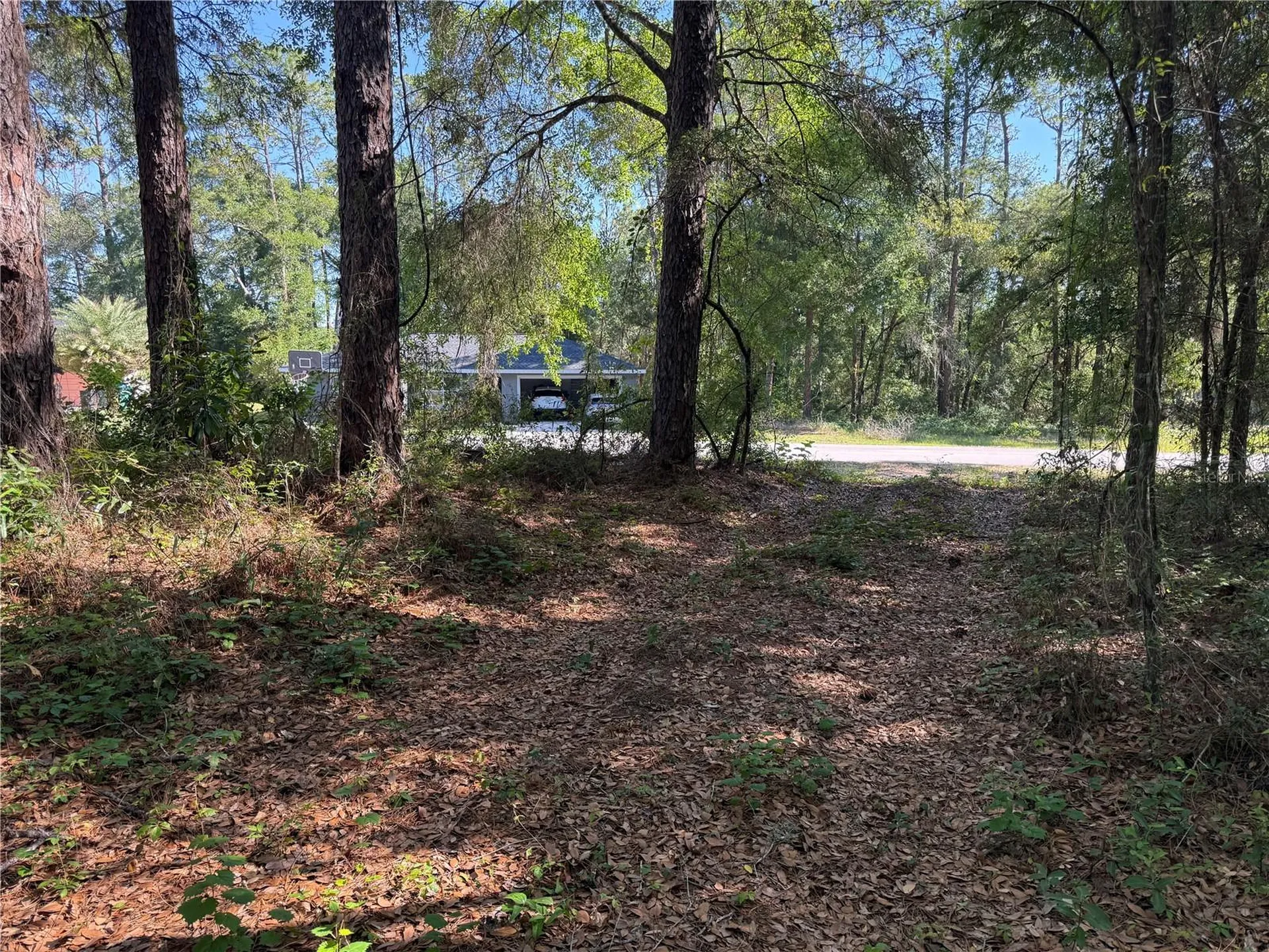 10927 N Airway Loop Citrus Springs FL 34434
