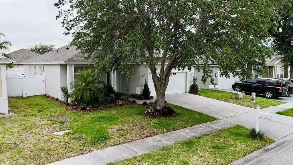 24900 Oakhaven Court Lutz FL 33559