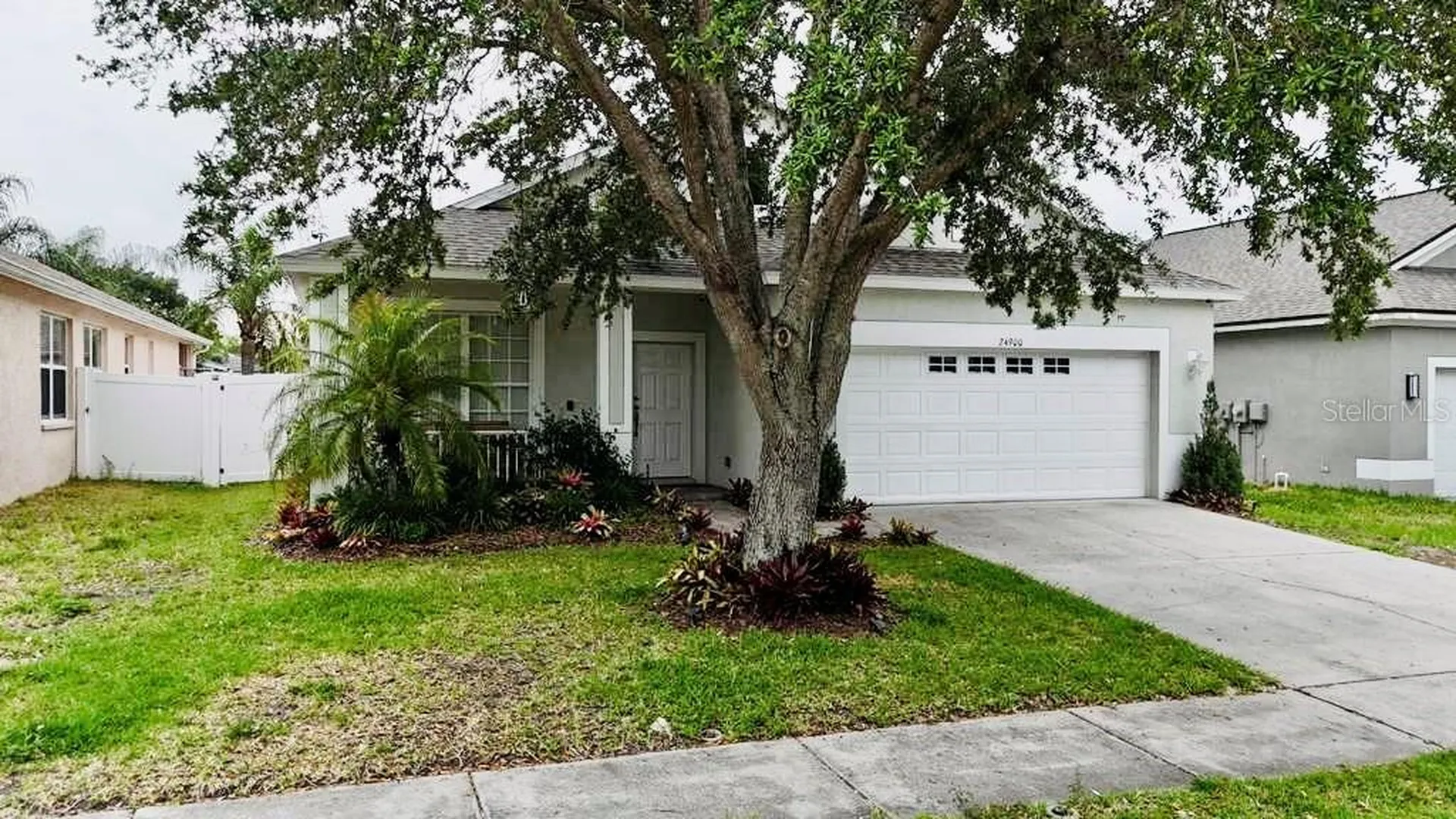 24900 Oakhaven Court Lutz FL 33559