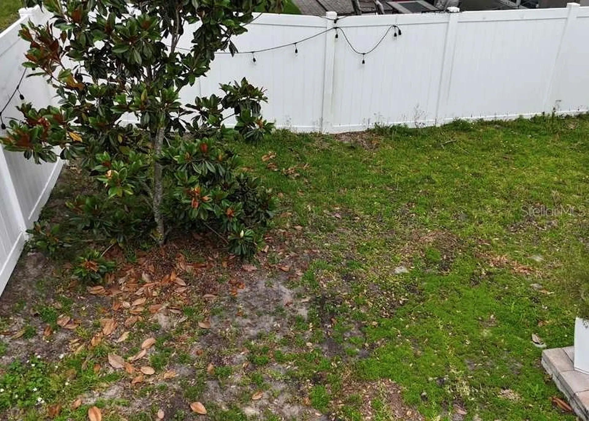 24900 Oakhaven Court Lutz FL 33559