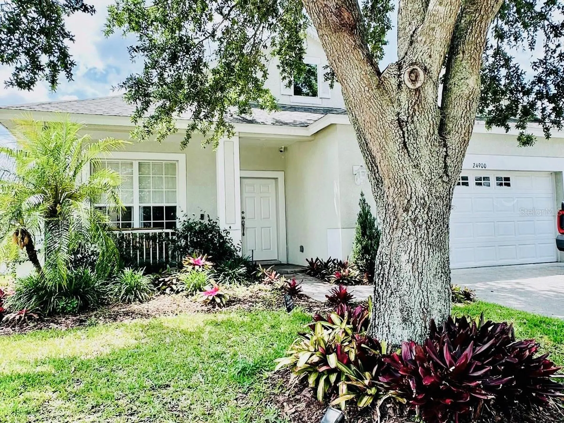24900 Oakhaven Court Lutz FL 33559