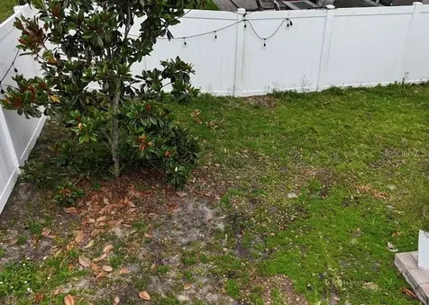 24900 Oakhaven Court Lutz FL 33559