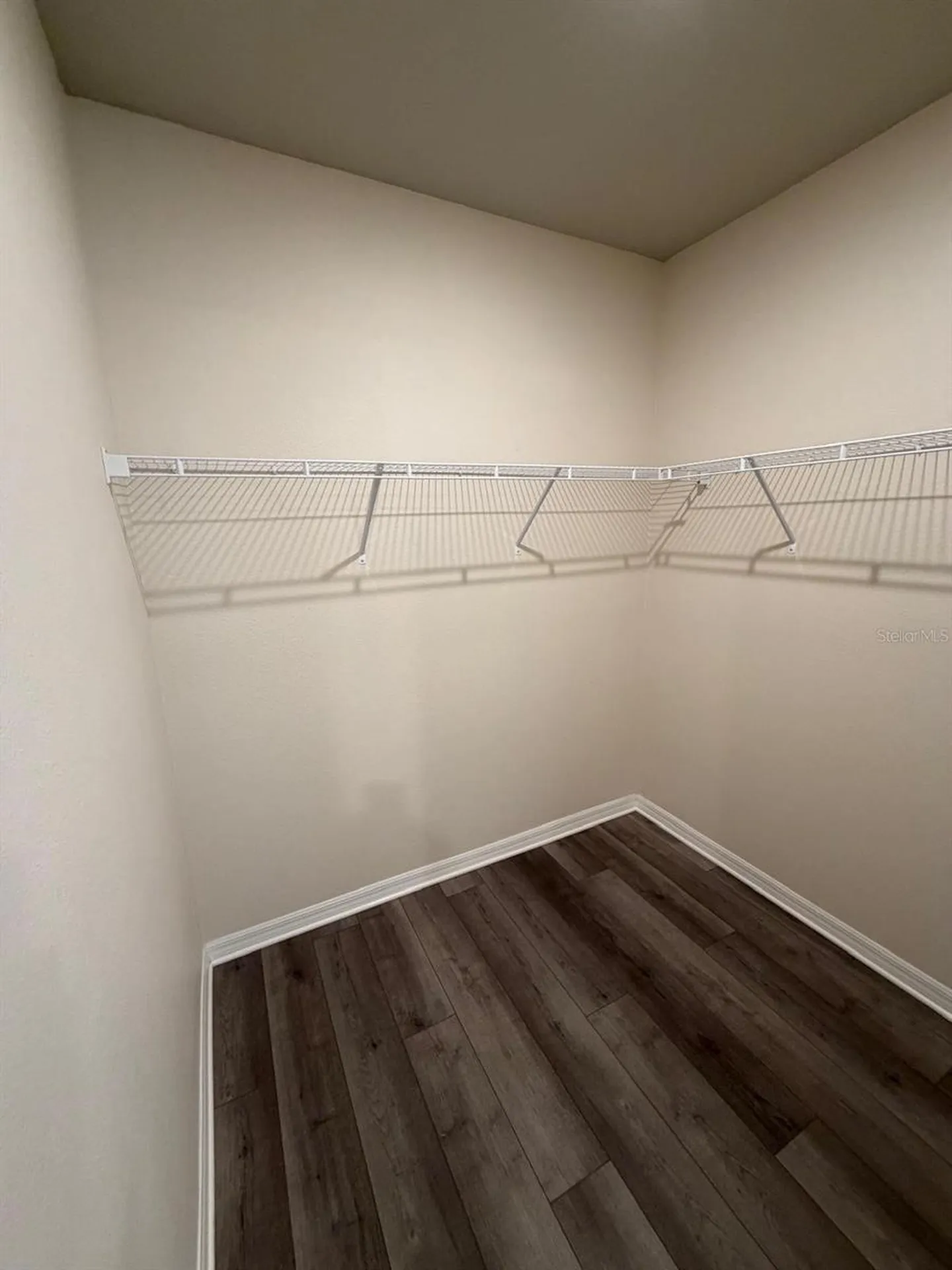 3732 Shoveler Avenue Leesburg FL 34748