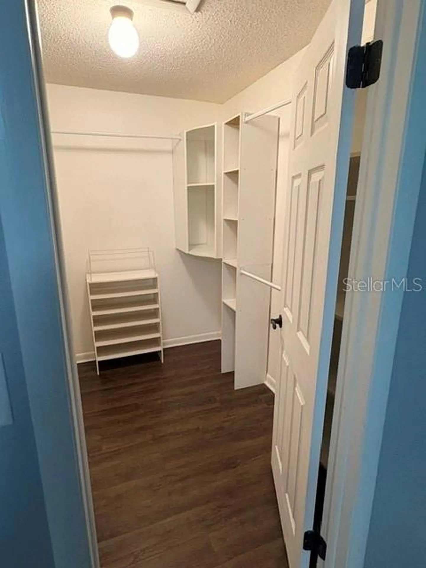 4014 Ashford Green Place Tampa FL 33613