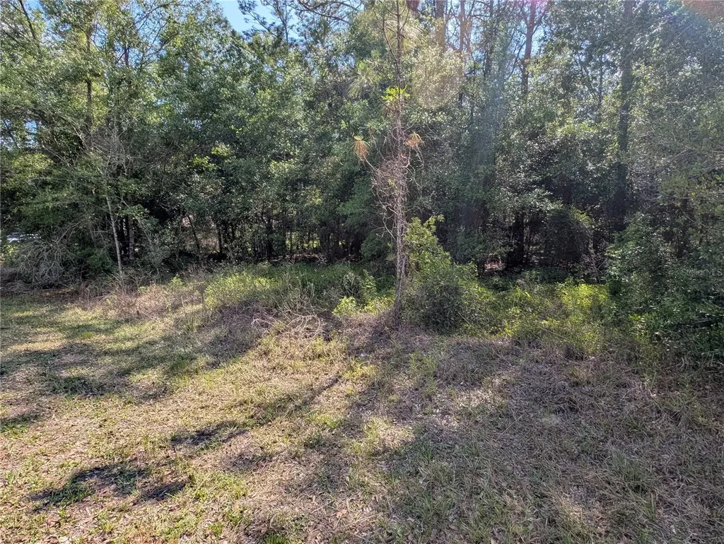 202ND Court Dunnellon FL 34431