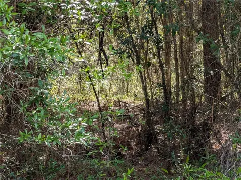 202ND Court Dunnellon FL 34431