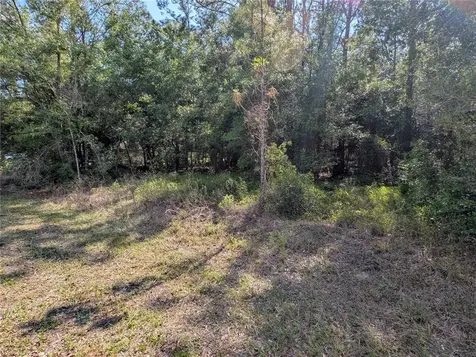 202ND Court Dunnellon FL 34431