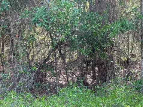 202ND Court Dunnellon FL 34431