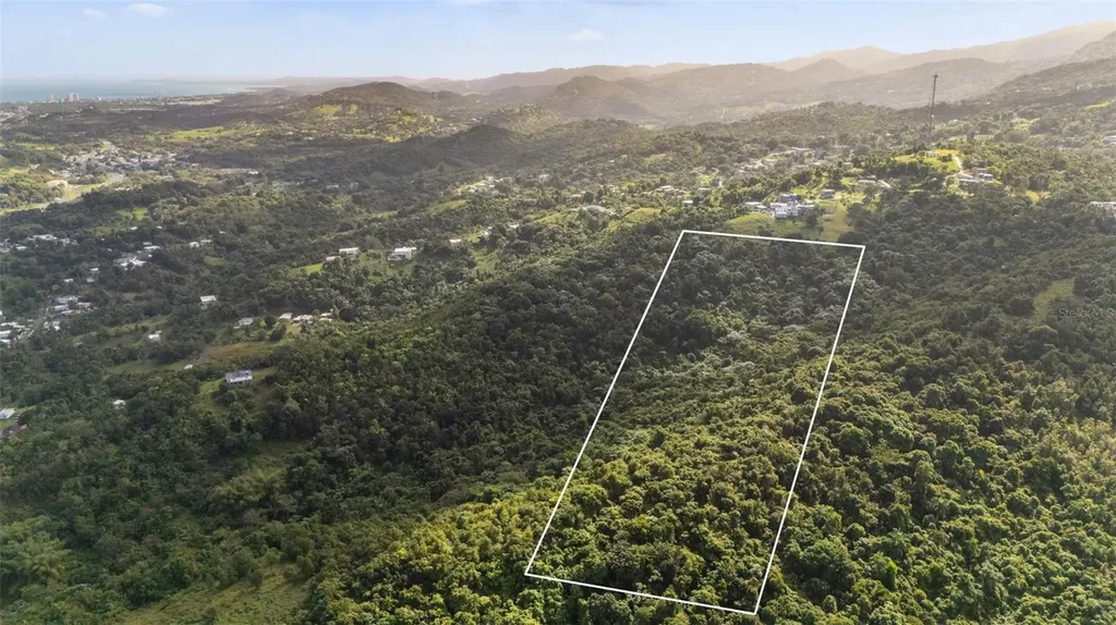 966 Zarzal Road Rio Grande PR 00745