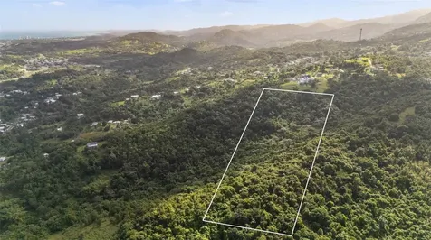 966 Zarzal Road Rio Grande PR 00745