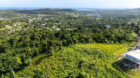 966 Zarzal Road Rio Grande PR 00745