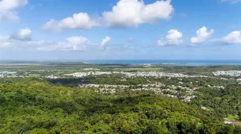 966 Zarzal Road Rio Grande PR 00745
