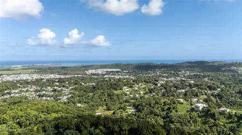 966 Zarzal Road Rio Grande PR 00745