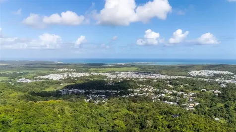 966 Zarzal Road Rio Grande PR 00745