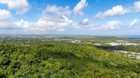966 Zarzal Road Rio Grande PR 00745