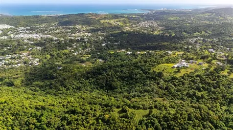 966 Zarzal Road Rio Grande PR 00745