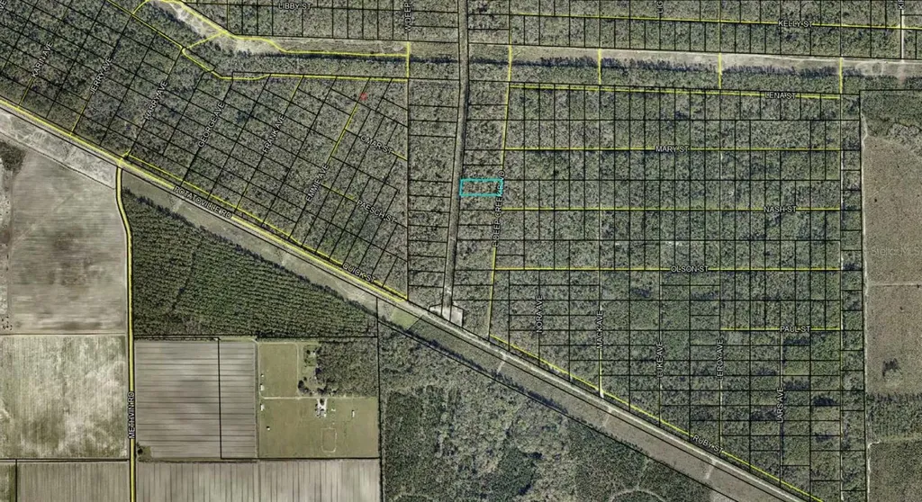 E Deep Creek Boulevard Hastings FL 32145