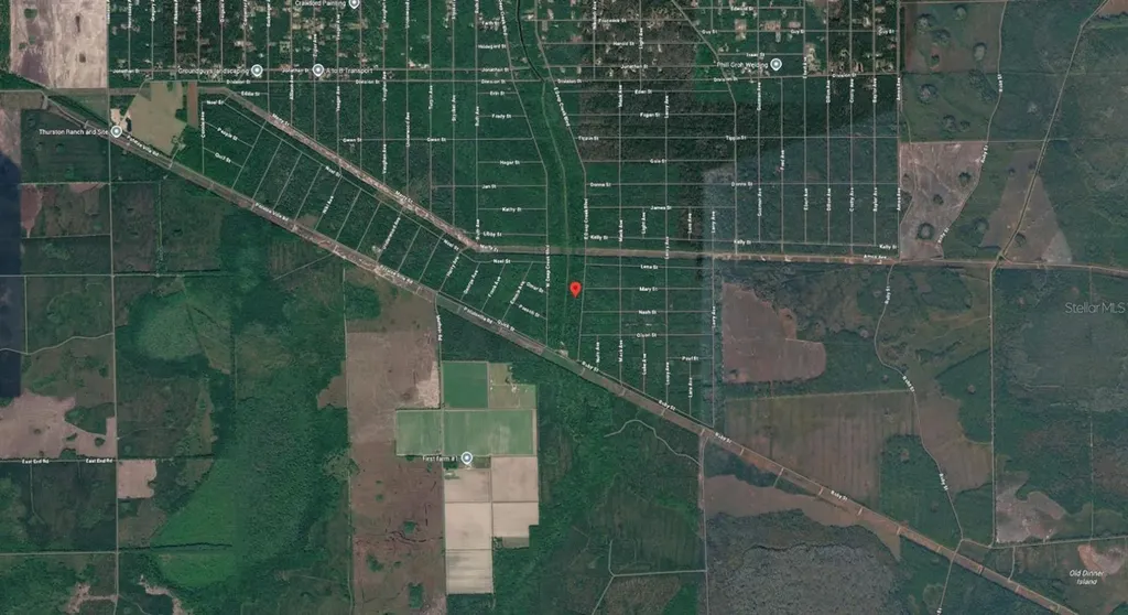 E Deep Creek Boulevard Hastings FL 32145