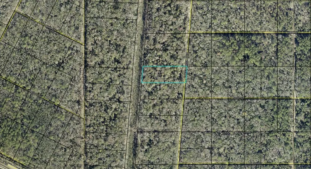 E Deep Creek Boulevard Hastings FL 32145