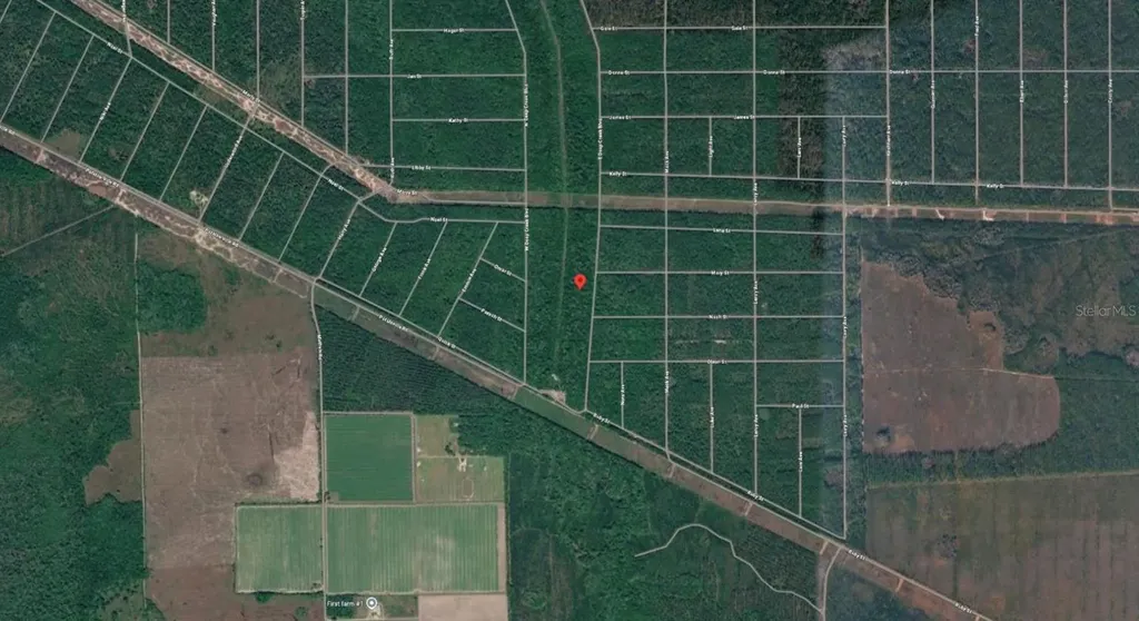 E Deep Creek Boulevard Hastings FL 32145