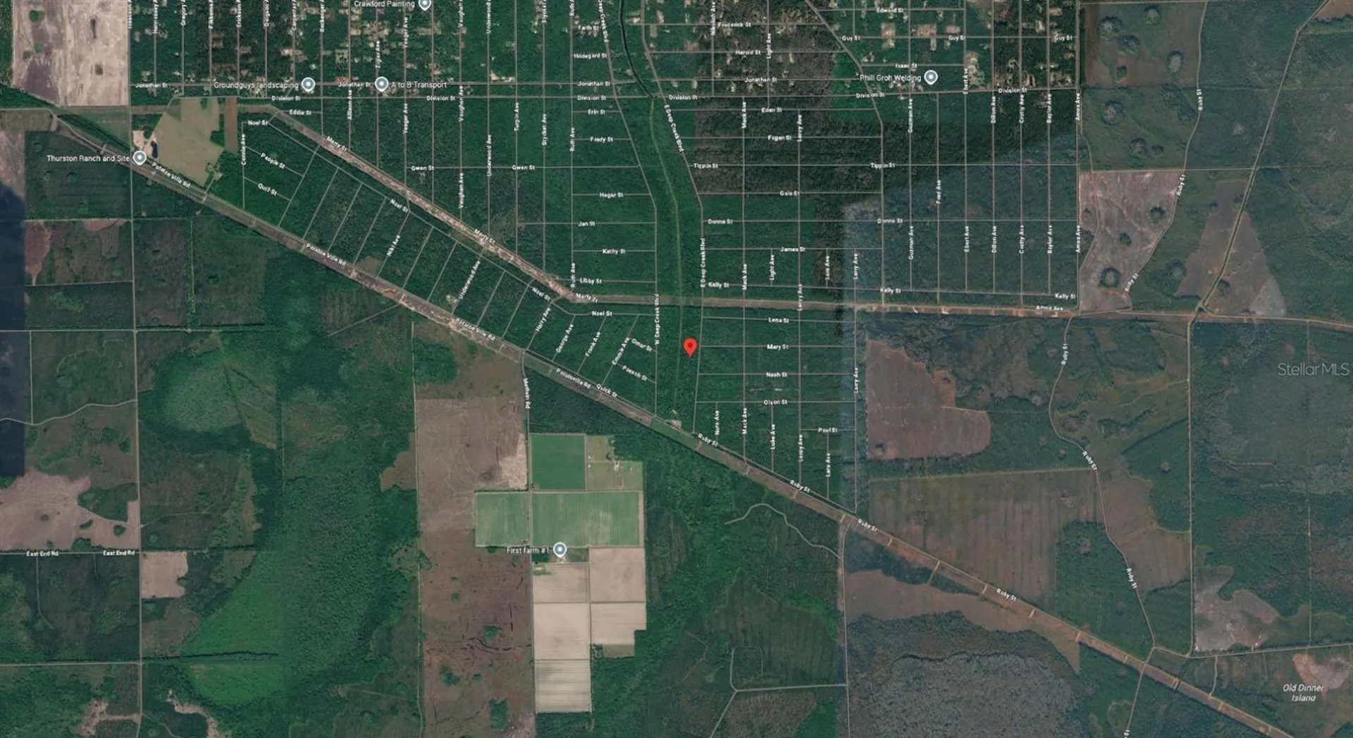 E Deep Creek Boulevard Hastings FL 32145