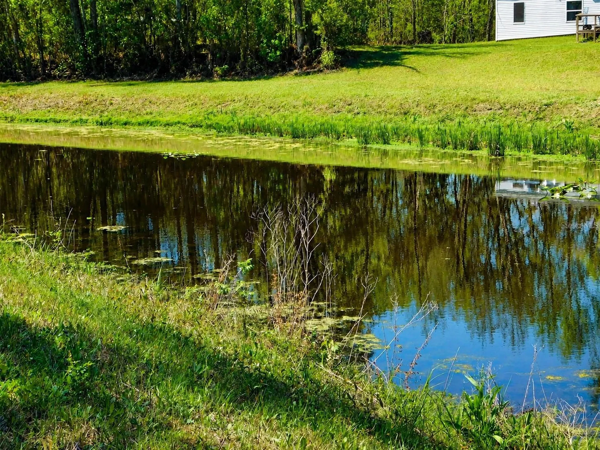 E Deep Creek Boulevard Hastings FL 32145