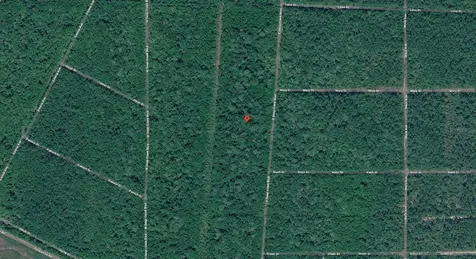E Deep Creek Boulevard Hastings FL 32145