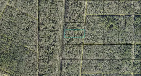 E Deep Creek Boulevard Hastings FL 32145
