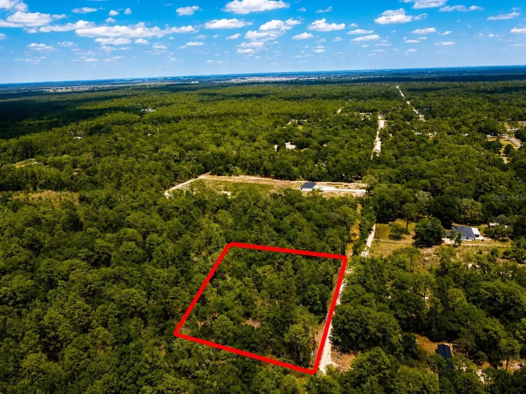 Tbd SW 93rd Place Dunnellon FL 34432