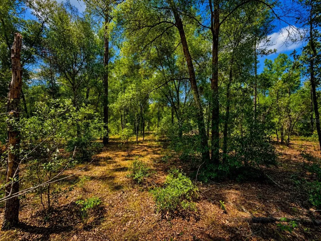 Tbd SW 93rd Place Dunnellon FL 34432
