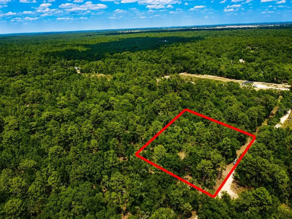 Tbd SW 93rd Place Dunnellon FL 34432