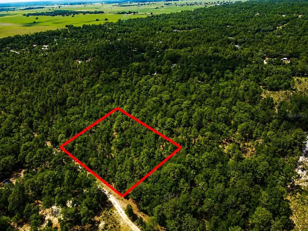 Tbd SW 93rd Place Dunnellon FL 34432