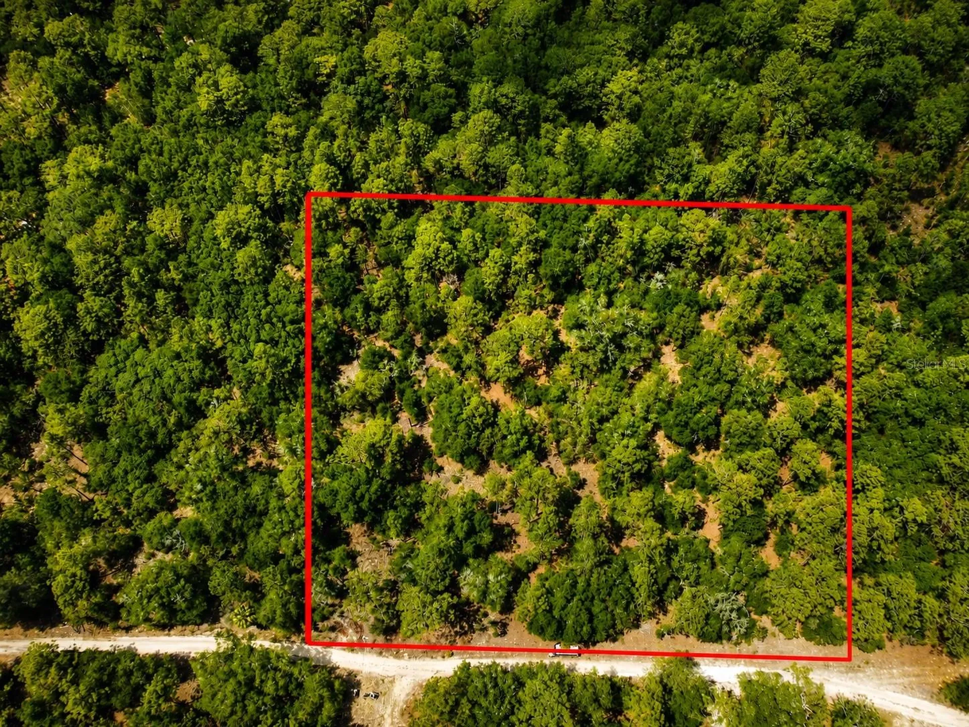 Tbd SW 93rd Place Dunnellon FL 34432