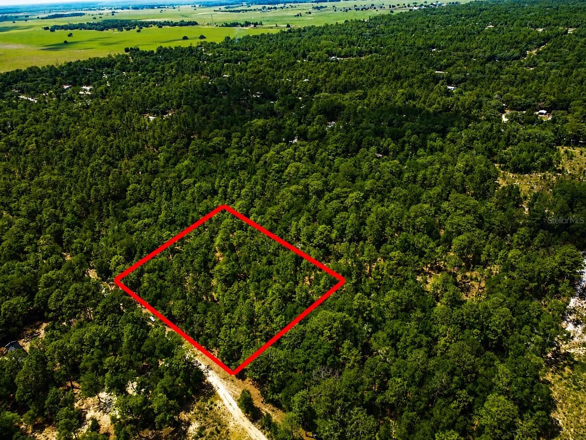 Tbd SW 93rd Place Dunnellon FL 34432