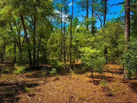 TBD SW 93rd Place Dunnellon FL 34432