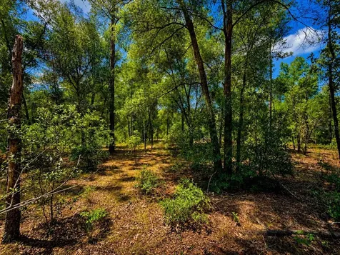 Tbd SW 93rd Place Dunnellon FL 34432