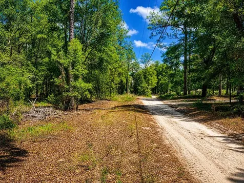 TBD SW 93rd Place Dunnellon FL 34432