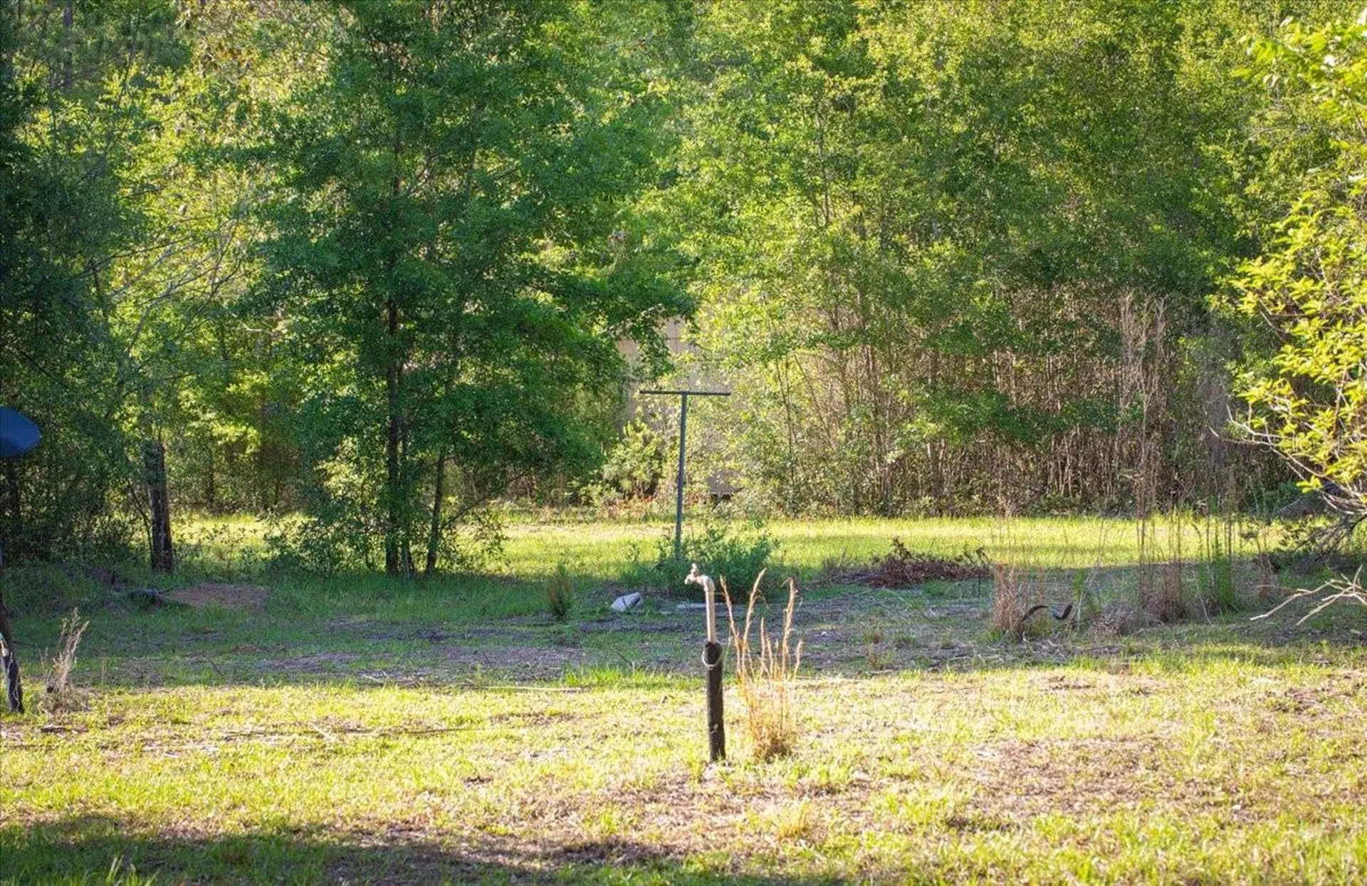 11418 NW 161st Street Alachua FL 32615