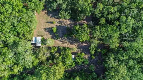 11418 NW 161st Street Alachua FL 32615