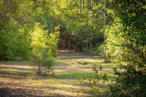 11418 NW 161st Street Alachua FL 32615